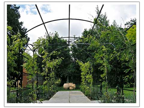 Rose Tunnel